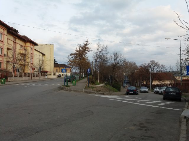 persoană căzută în stradă